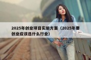 2025年创业项目实施方案（2025年要创业应该选什么行业）