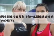 宝妈小副业今日发布（有什么副业适合宝妈的平台介绍下）
