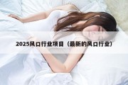 2025风口行业项目（最新的风口行业）