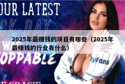 2025年最赚钱的项目有哪些（2025年最赚钱的行业有什么）
