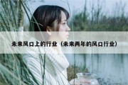 未来风口上的行业（未来两年的风口行业）