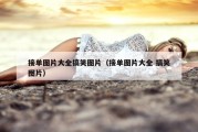 接单图片大全搞笑图片（接单图片大全 搞笑图片）