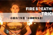 小镇冷门生意（小镇赚钱生意）