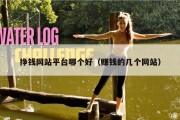 挣钱网站平台哪个好（赚钱的几个网站）