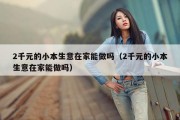 2千元的小本生意在家能做吗（2千元的小本生意在家能做吗）