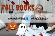 3000元如何创业搞（3千元怎么创业）