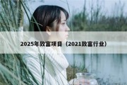 2025年致富项目（2021致富行业）