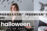 淘宝店铺怎么引流推广（淘宝店铺引流推广违法吗）