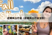 近期风口行业（近期风口行业分析）