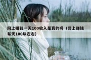 网上赚钱一天100收入是真的吗（网上赚钱每天100块左右）