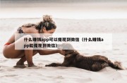 什么赚钱app可以提现到微信（什么赚钱app能提现到微信）