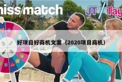 好项目好商机文案（2020项目商机）