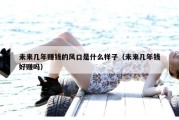 未来几年赚钱的风口是什么样子（未来几年钱好赚吗）