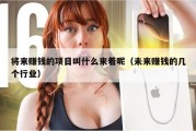 将来赚钱的项目叫什么来着呢（未来赚钱的几个行业）