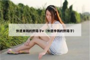 快速来钱的野路子v（快速挣钱的野路子）