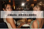 小清新网名（带季字的小清新网名）