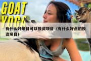 有什么好项目可以投资项目（有什么好点的投资项目）