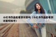 小红书作品能看到访客吗（小红书作品能看到访客吗知乎）