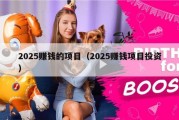 2025赚钱的项目（2025赚钱项目投资）