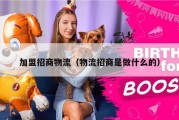 加盟招商物流（物流招商是做什么的）