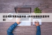 适合农村发展致富项目（农村有哪些致富新项目）