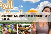 现在创业什么行业最好小县城（创业做什么好小县城）