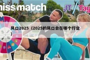 风口2025（2025的风口会在哪个行业）