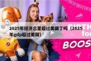 2025年经济总量超过美国了吗（2025年gdp超过美国）
