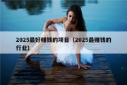 2025最好赚钱的项目（2025最赚钱的行业）