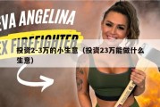 投资2-3万的小生意（投资23万能做什么生意）