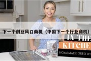 下一个创业风口商机（中国下一个行业商机）