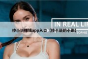 抄小说赚钱app入口（抄小说的小说）