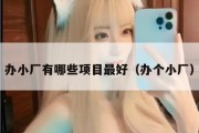 办小厂有哪些项目最好（办个小厂）