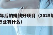 2025年后的赚钱好项目（2025年最赚钱的行业有什么）