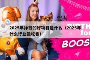 2025年挣钱的好项目是什么（2025年什么行业最吃香）