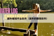 国外赚钱平台软件（国外的赚钱软件）