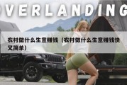 农村做什么生意赚钱（农村做什么生意赚钱快又简单）