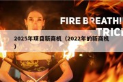 2025年项目新商机（2022年的新商机）