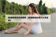 网络赚钱项目有哪些（网络赚钱的有什么项目啊）