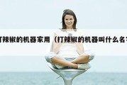 打辣椒的机器家用（打辣椒的机器叫什么名字）
