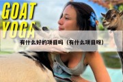 有什么好的项目吗（有什么项目呀）