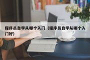 程序员自学从哪个入门（程序员自学从哪个入门好）