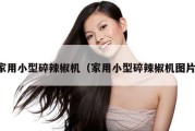 家用小型碎辣椒机（家用小型碎辣椒机图片）