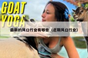 最新的风口行业有哪些（近期风口行业）