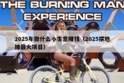 2025年做什么小生意赚钱（2025摆地摊最火项目）