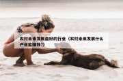 农村未来发展最好的行业（农村未来发展什么产业能赚钱?）
