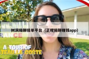 树洞陪聊接单平台（正规陪聊赚钱app）