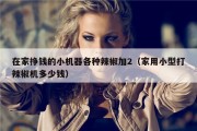 在家挣钱的小机器各种辣椒加2（家用小型打辣椒机多少钱）