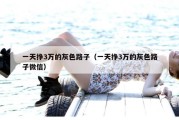 一天挣3万的灰色路子（一天挣3万的灰色路子微信）