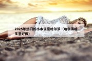 2025年热门的小本生意哈尔滨（哈尔滨啥生意好做）